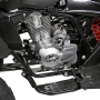 Quads/ATV's - Quad/ATV 250cc Big Tiger - 250cc - 204